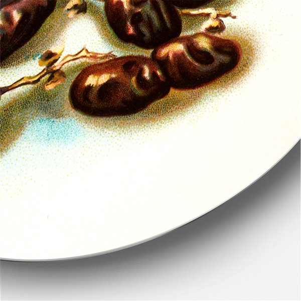 Designart 29-in x 29-in Vintage Fruits IV Farmhouse Metal Circle Wall Art