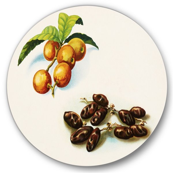 Designart 29-in x 29-in Vintage Fruits IV Farmhouse Metal Circle Wall Art