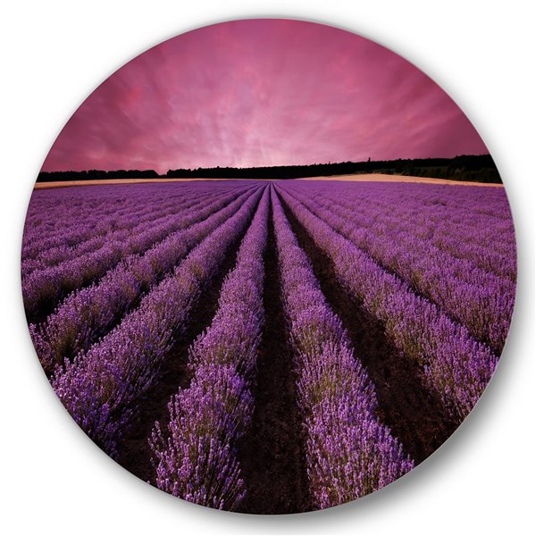 Designart 29-in x 29-in Sunrise and Dramatic Clouds Over Lavender Field ...