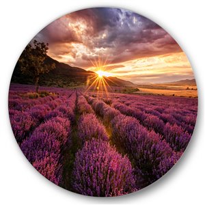 Designart 23-in x 23-in Sunrise and Dramatic Clouds Over Lavender Field IV Metal Circle Wall Art