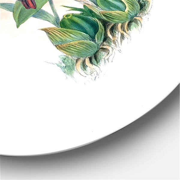 Designart 23-in x 23-in Vintage Hummingbird Flying To a Flower Traditional Circle Wall Art