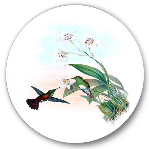 Designart 23-in x 23-in Vintage Hummingbird Flying To a Flower Traditional Circle Wall Art