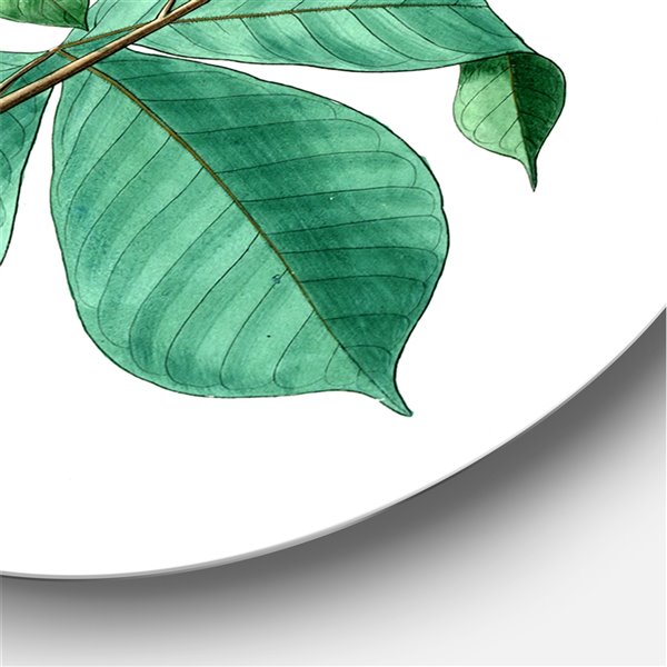 Designart 36-in x 36-in Vintage Green Leaves Plants III Traditional Metal Circle Wall Art