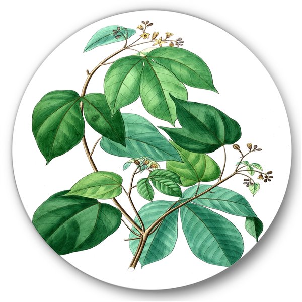 Designart 36-in x 36-in Vintage Green Leaves Plants III Traditional Metal Circle Wall Art