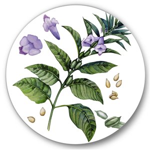 Designart 36-in x 36-in Purple Sesame Flowers with Green Leaves Traditional Circle Wall Art