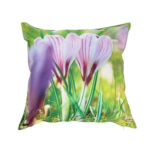 iH casadécor Mia 2-Pack Graphic Print Novelty Outdoor Waterproof Cushion