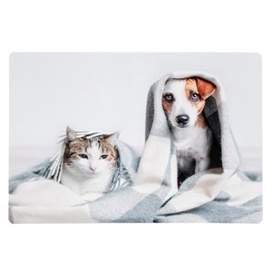 IH Casa Decor Pets Under Blanket Plastic Placemat - Set of 12