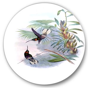 Designart 36-in 36-in Vintage Hummingbird on a Branch Traditional Metal Circle Wall Art