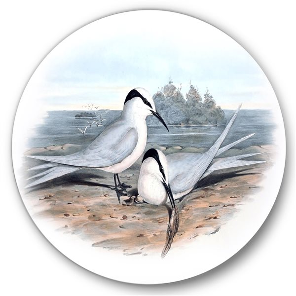 Designart 23-in 23-in Vintage Birds in the Wild IX Traditional Metal Circle Wall Art