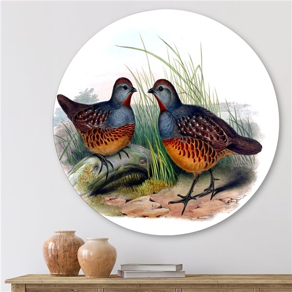 Designart 23-in 23-in Vintage Birds in the Wild VII Traditional Metal Circle Wall Art