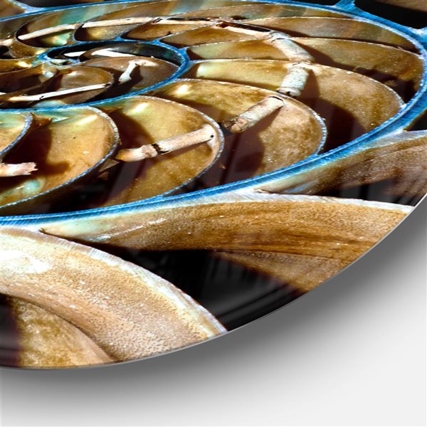 Designart 11-in x 11-in Brown Large Nautilus Shell Abstract Circle Metal Wall Art