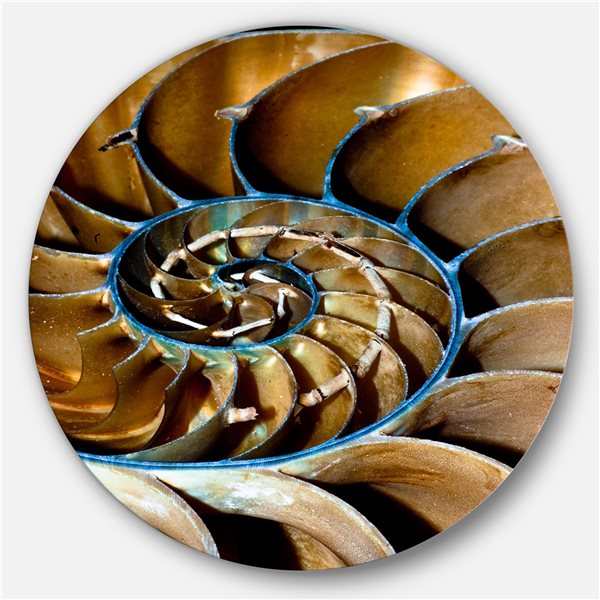 Designart 11-in x 11-in Brown Large Nautilus Shell Abstract Circle Metal Wall Art