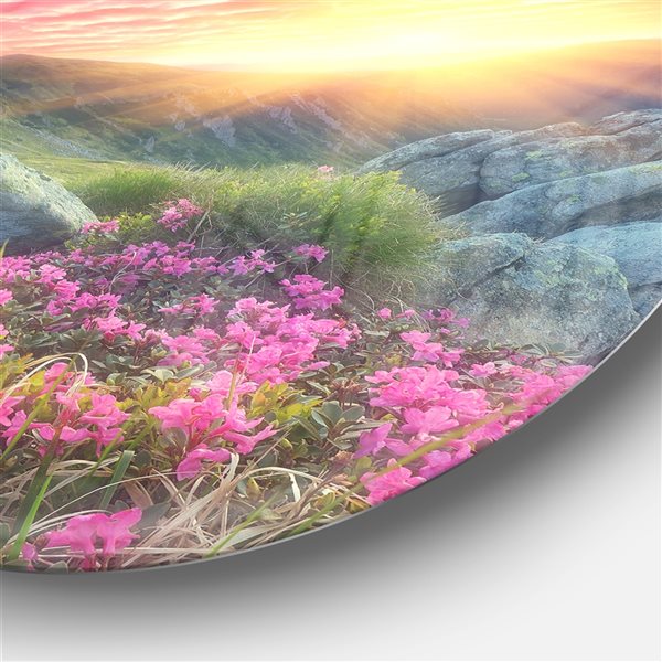 Designart 11-in x 11-in Morning with Flowers in Mountains Landscape Circle Metal Wall Art