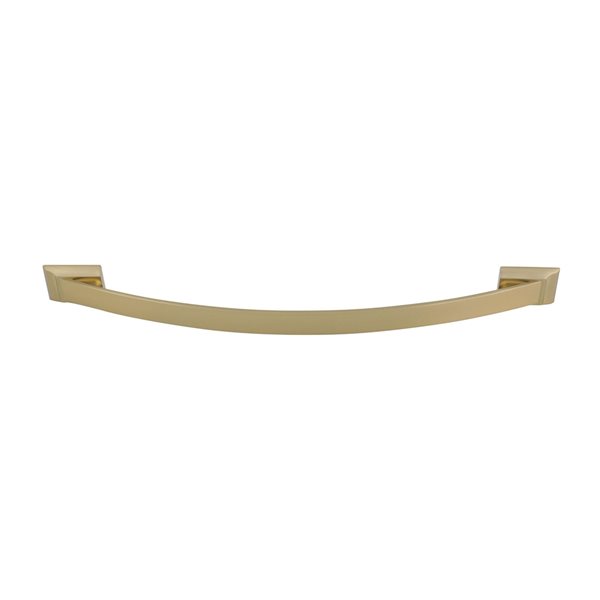 Amerock Candler 12-in Centre to Centre Golden Champagne Appliance Pull