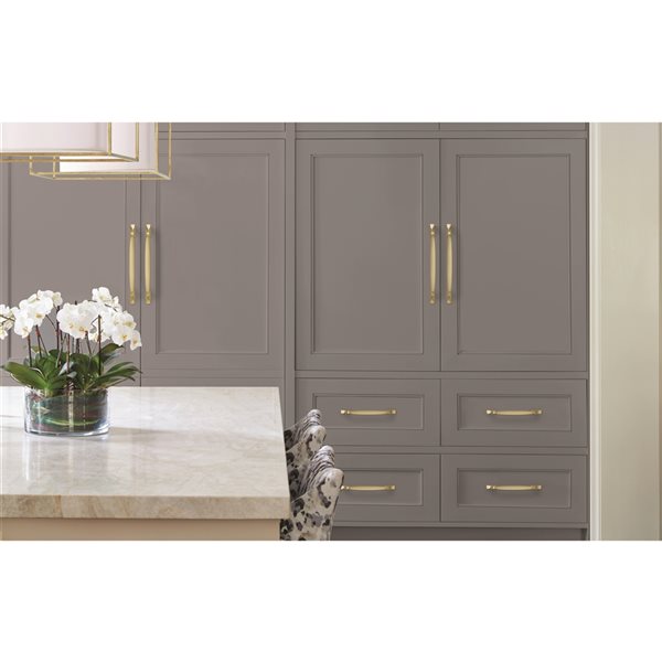 Amerock Highland Ridge 12-in Centre to Centre Golden Champagne Appliance Pull