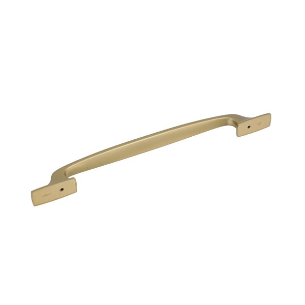 Amerock Highland Ridge 12-in Centre to Centre Golden Champagne Appliance Pull