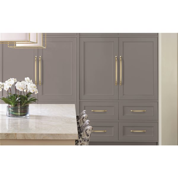 Amerock Highland Ridge 18-in Centre to Centre Golden Champagne Appliance Pull