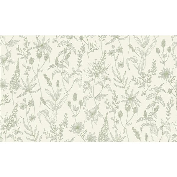 Papier peint en vinyle non encollé avec motif floral Nami par Advantage couvrant 57,8 pi², olive