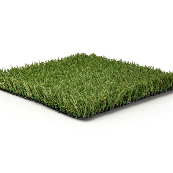 Green As Grass Fescue 25-ft x 15-ft Artificial Grass
