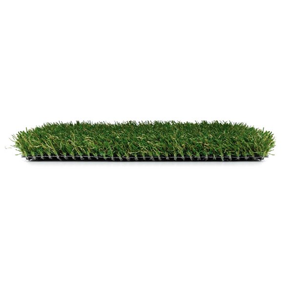Green As Grass Fescue 25-ft x 15-ft Artificial Grass