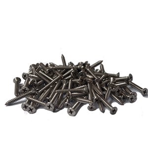 Tooltech 0.17-in x 1 5/8-in Stainless Steel Phillips-Drive Interior And Exterior Cement Board Screws (100-Pack)