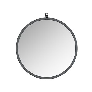A&E Bath and Shower Haylo 24-in Black Round Bathroom Mirror