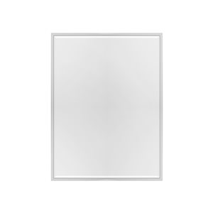 A&E Bath and Shower Mexia 35.4-in Silver Rectangular Bathroom Mirror