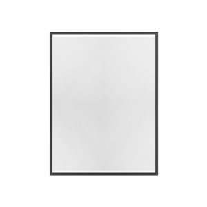A&E Bath and Shower Mexia 35.4-in Black Rectangular Bathroom Mirror
