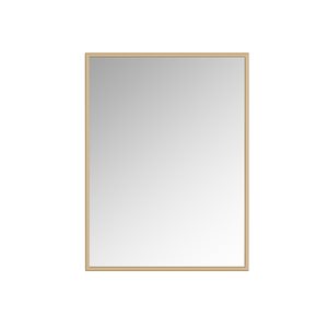 Miroir Prime rectangulaire de 24 po pour salle de bains par A&E Bath and Shower, doré