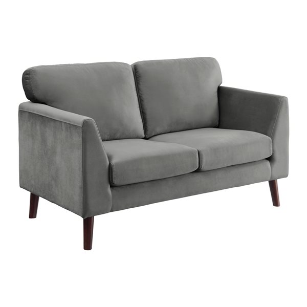 Hometrend Tolley Modern Grey Velvet Loveseat