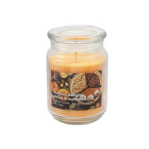 iH casadécor 18-oz. Autumn Delight Scented Jar Candle - Set of 2