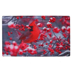 IH Casa Decor Rectangular 29-in W x 18-in L Multicolour Indoor/Outdoor Utility Mat