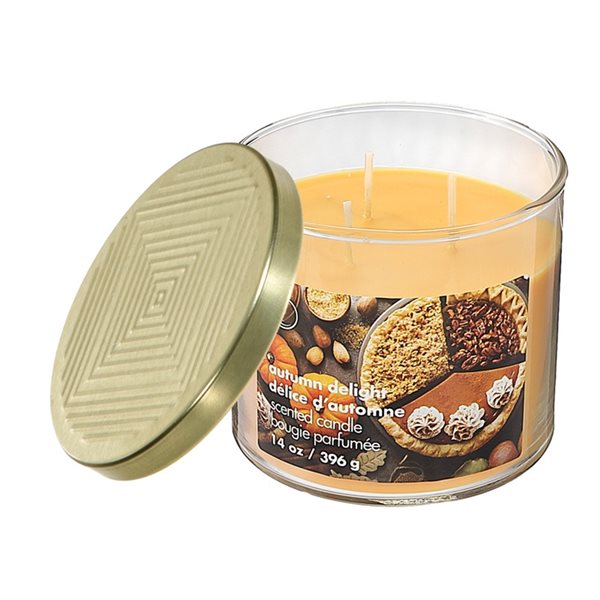 iH casadécor 14-oz. Autumn Delight 3-Wick Jar Candle