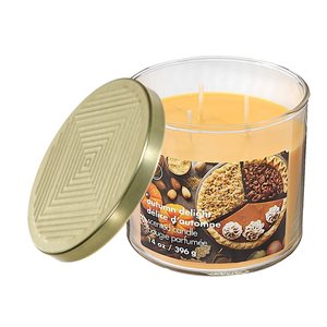 iH casadécor 14-oz. Autumn Delight 3-Wick Jar Candle