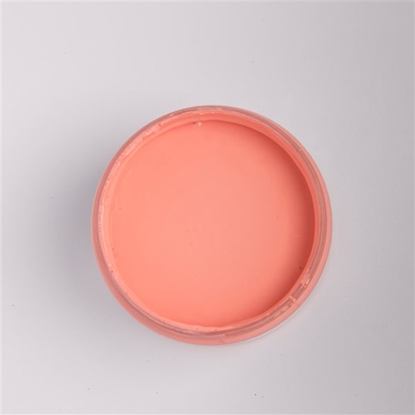 GRAPEFRUIT Coral Pink Chalk Based Paint Furniture and DIY Home