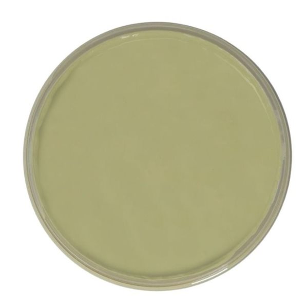 Colorantic Kiwi Khaki Green Chalk-Based Paint (Trial Size)