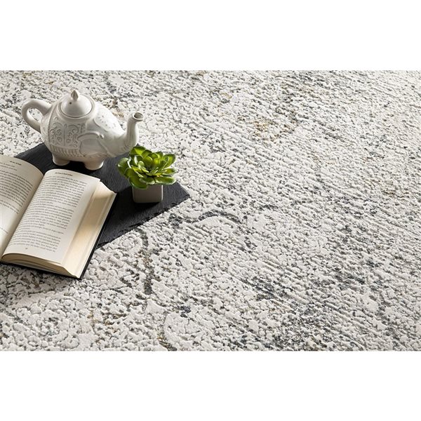 Rug Branch Transitional Moroccan  Grey Beige Indoor Area Rug - 6x9