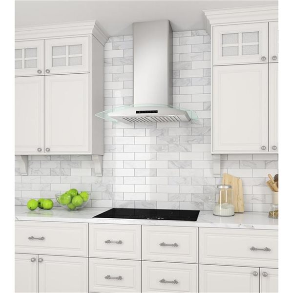 Ancona 30-in Stainless Steel Convertible Wall-Mounted Range Hood