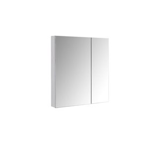 Kinwell 30-in x 26-in Surface/Recessed Aluminum Mirrored Rectangle Medicine Cabinet