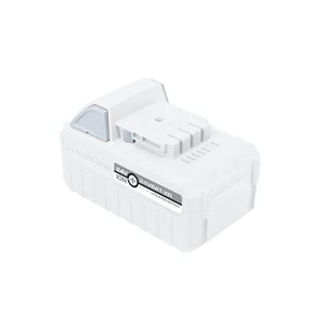 Batterie pour équipement rechargeable et sans fil aux ions lithium par Snow Joe de 24 V, 5,0 Ah