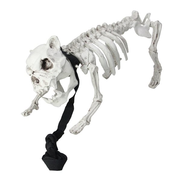 Northlight Skeleton Dog Decoration 32255980