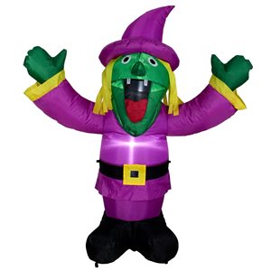 Northlight 3.5-ft x 1-ft Internal Light Witch Halloween Inflatable