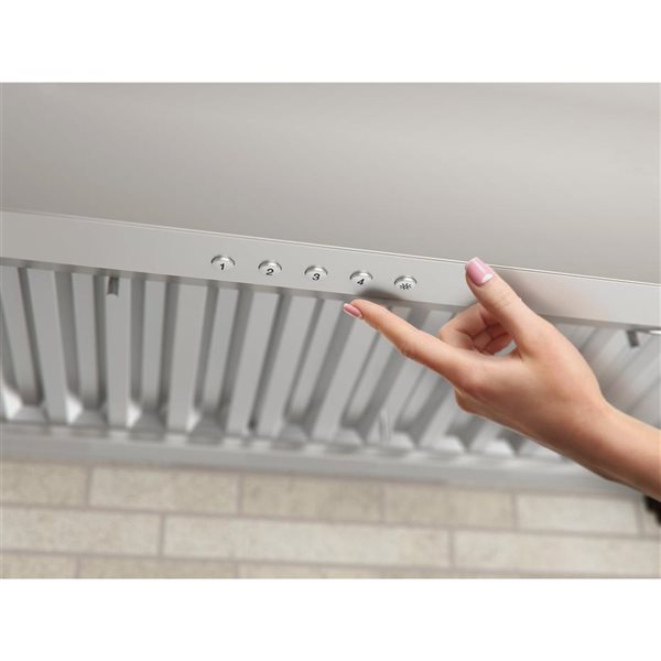 Ancona Pro Series 36in Ducted Stainless Steel Range Hood