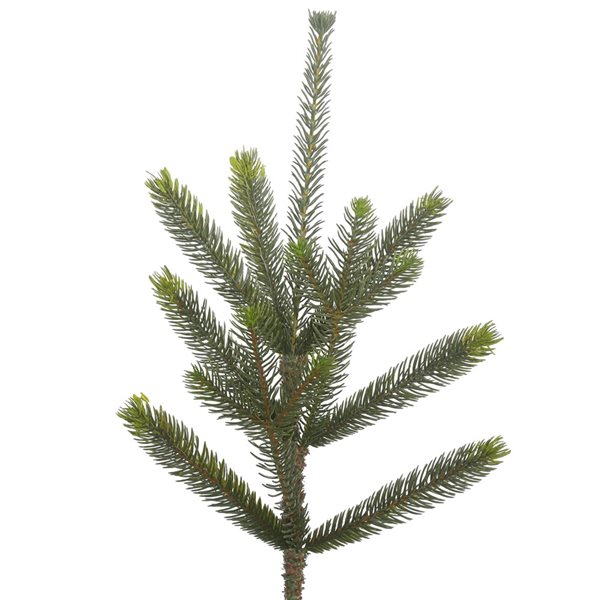 Vickerman 5-ft Leg Base Full Bed Rock Pine Right Side Up Green Artificial Christmas Tree