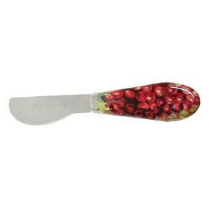 Epicureanist Sonoma Cheese Spreaders (Set of 4)