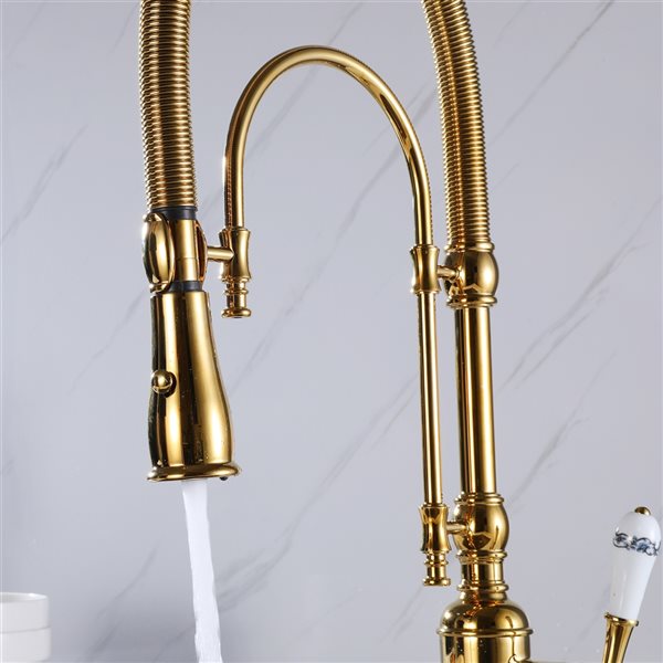CASAINC Brushed Gold 1-Handle/Lever Deck Mount Pull-Down Kitchen Faucet