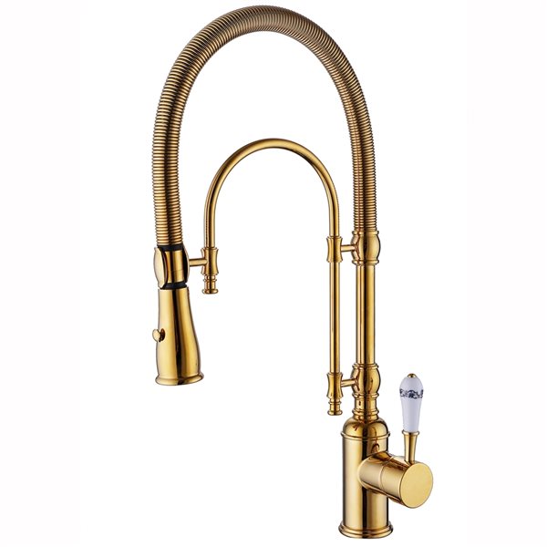 CASAINC Brushed Gold 1-Handle/Lever Deck Mount Pull-Down Kitchen Faucet