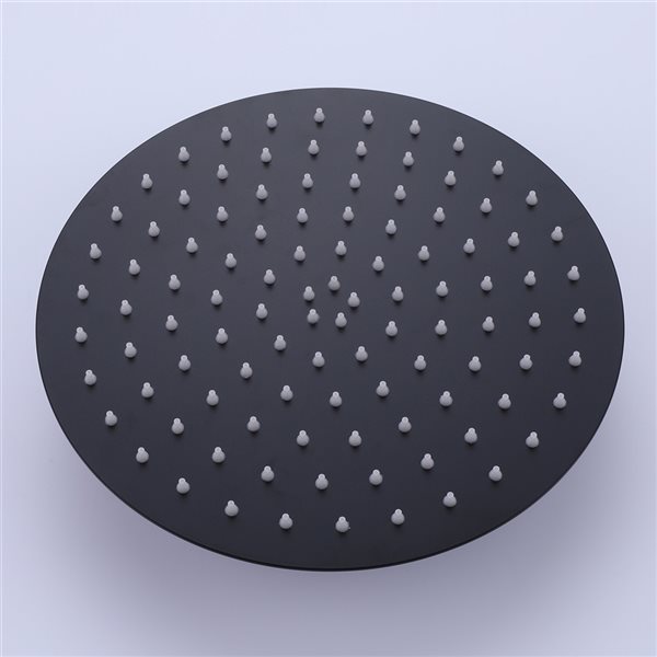Casainc Matte Black 2-Function Round Built-in Shower System