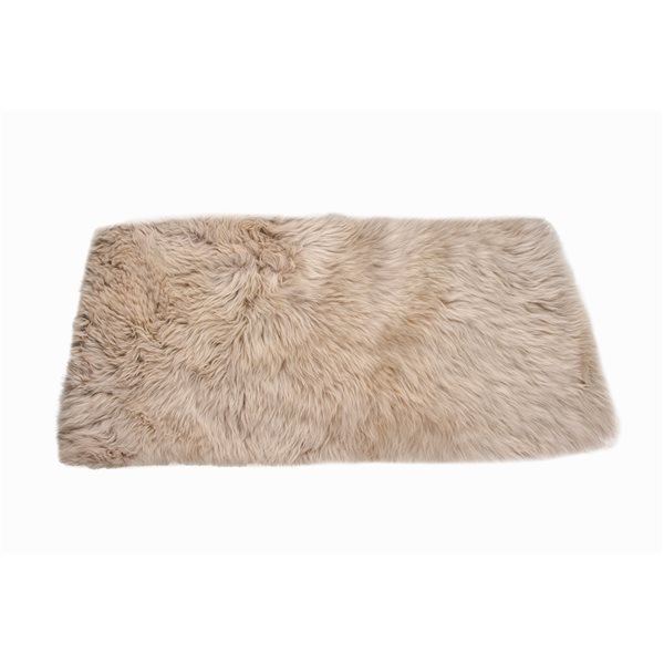 Natural 3-ft x 5-ft Taupe Rectangular Indoor Sheepskin Rug