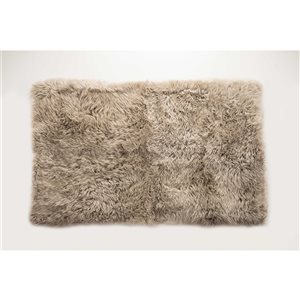 Natural 3-ft x 5-ft Taupe Rectangular Indoor Sheepskin Rug